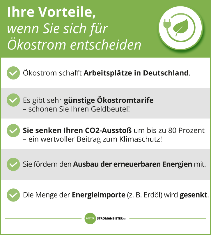 Bester Ökostromanbieter