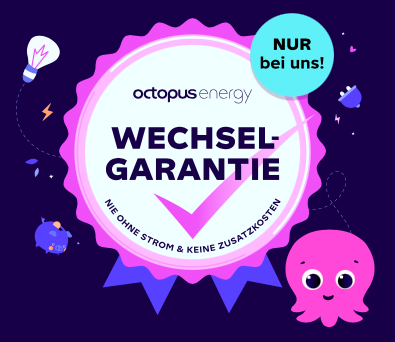 Octopus Energy Wechselservice